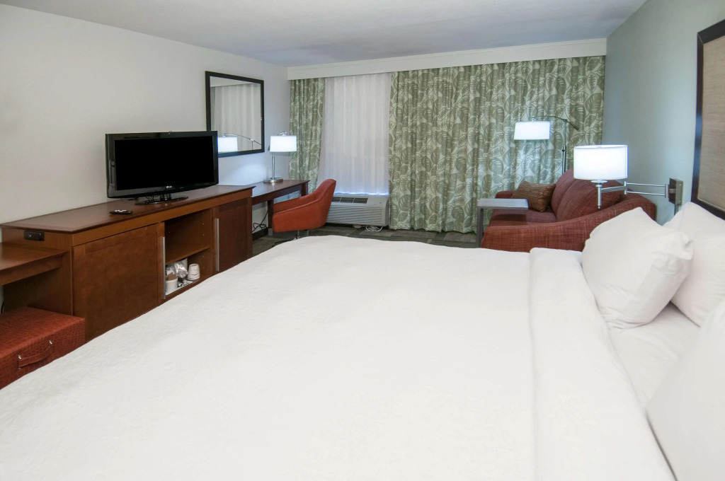 Spark by Hilton Lafayette