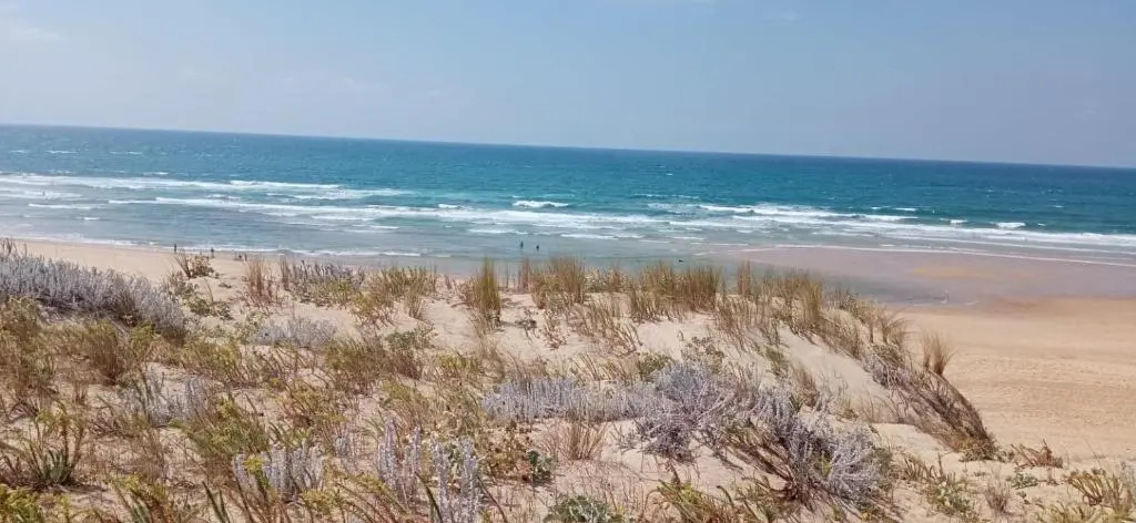 Les BordOcéanes Sauna & Spa Villa Marensine et Villa Oyat