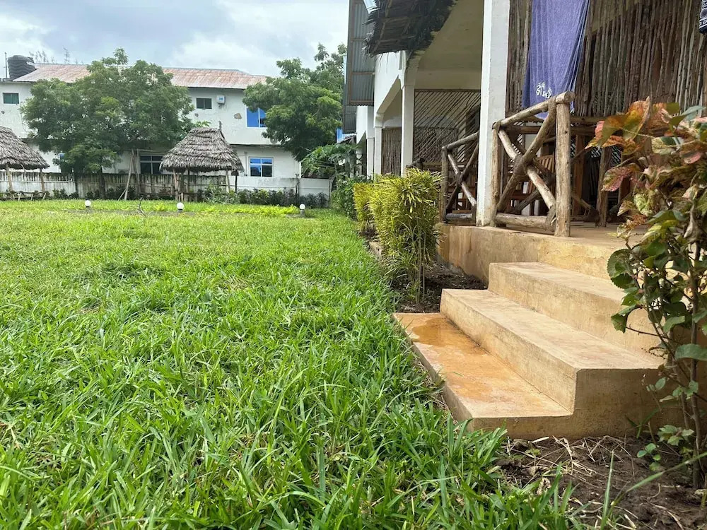 Zanzigo