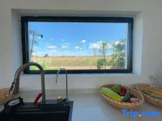 Ruosheng Space Natural Healing Homestay
