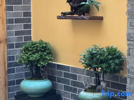 Shunde Aotouju Homestay