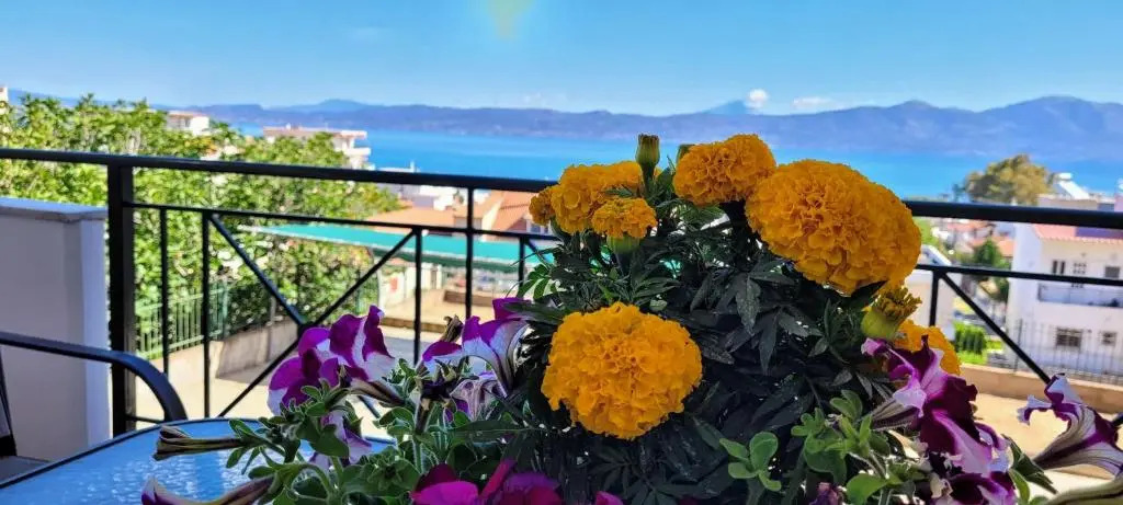 Coralli Apartment