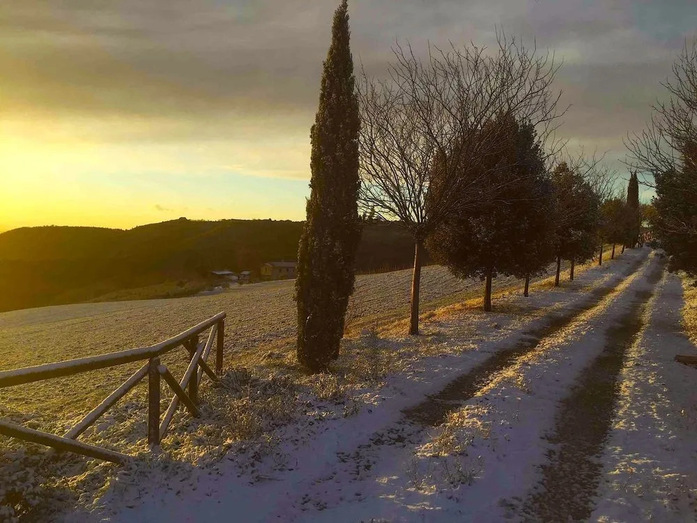 Assisi Country