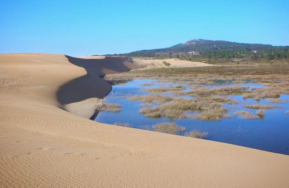 Duerming Carolina Santiago y Galicia Playa