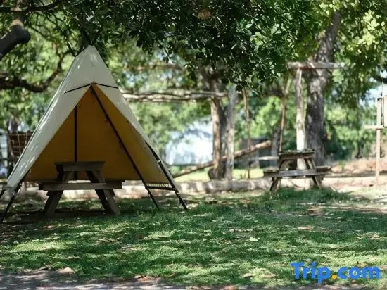 Tropical eglamping