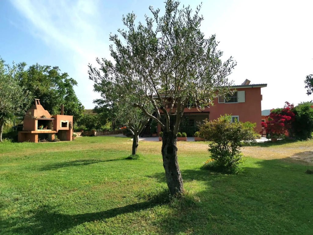 Home Garden