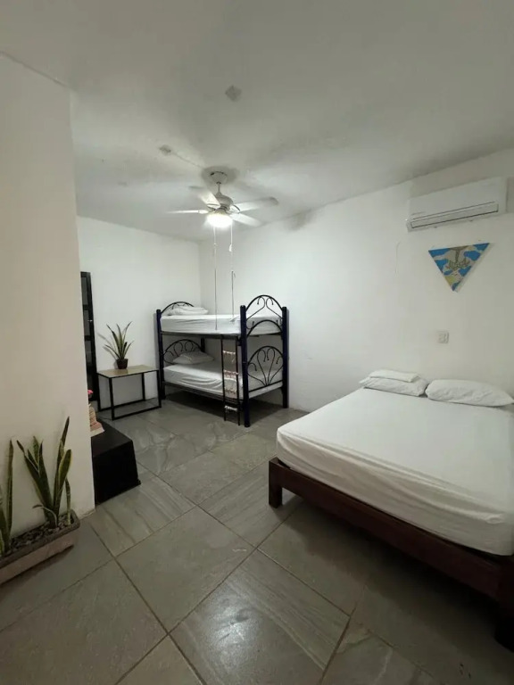 SurfNest Hostel