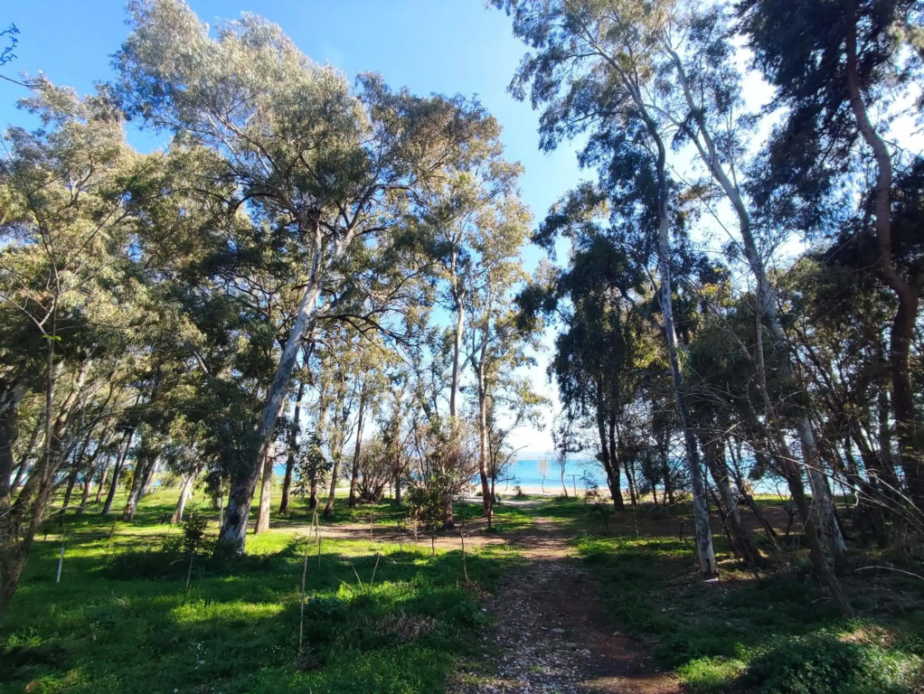 Palmeira Sea & City