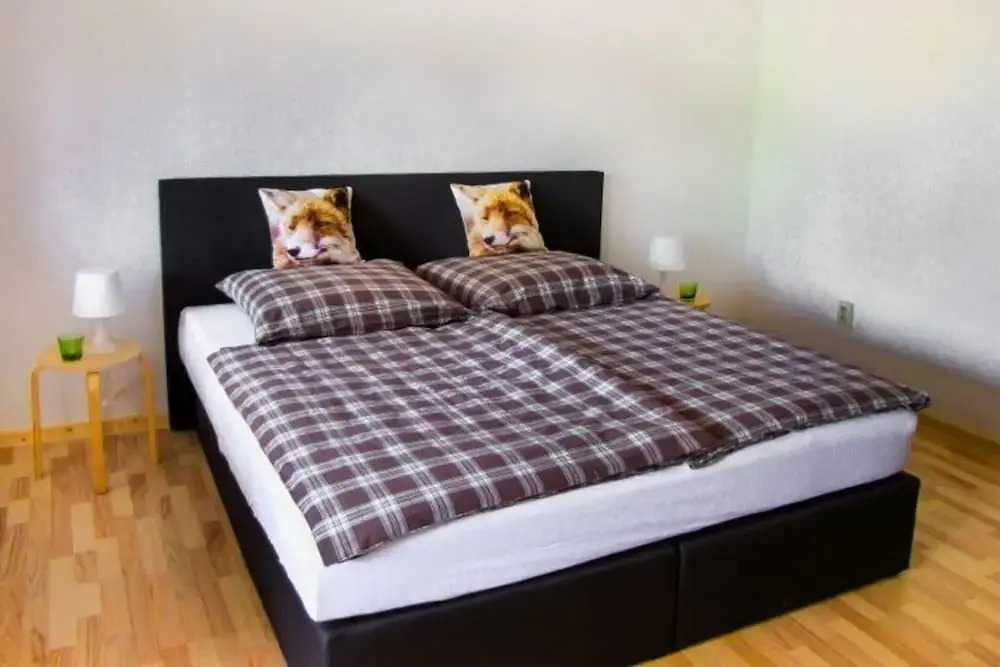 Ferienwohnung in der Nahe vom Hexentanzplatz