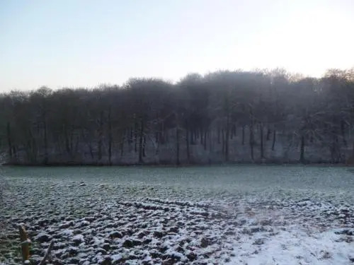 Ferme du bois des Etroits Wats