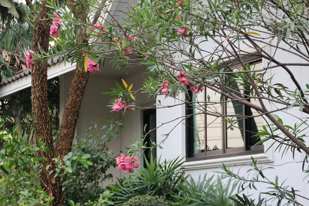 Chayada Garden House and Resort Hotel
