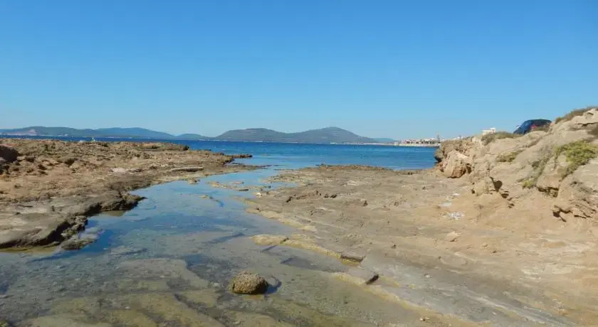 C Apartments Alghero
