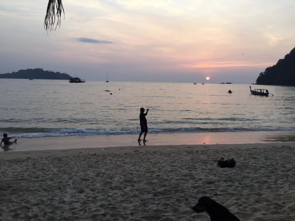 Sunny Cove Beach Resort Koh Phayam