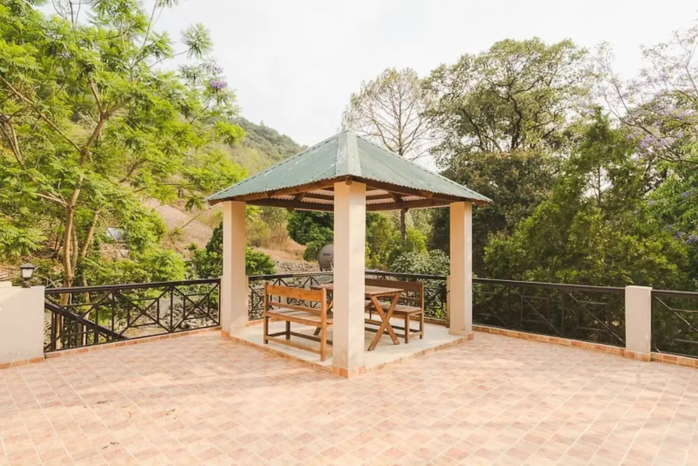 The Camphor Tree - Pura Stays