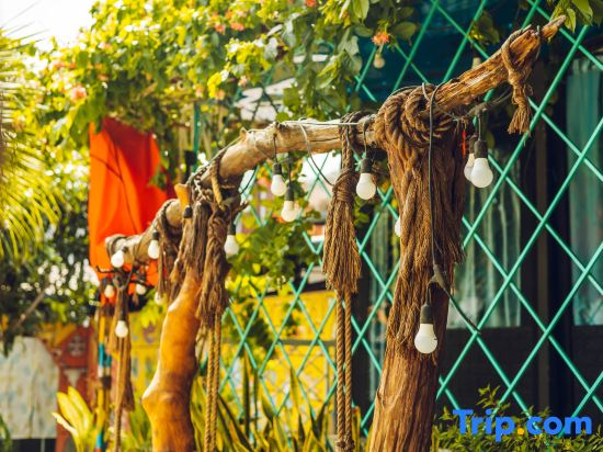 Simple Camp Vung Tau Homestay