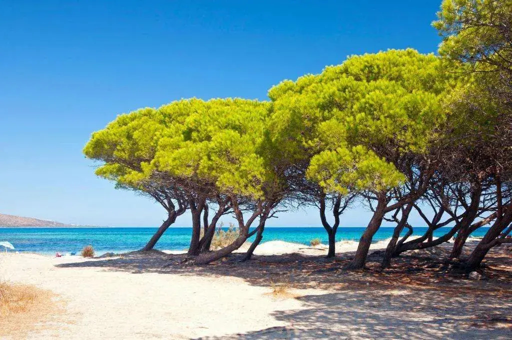 Futura Club Cala Fiorita