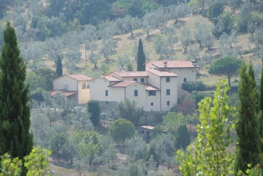 Fuccioli Ii