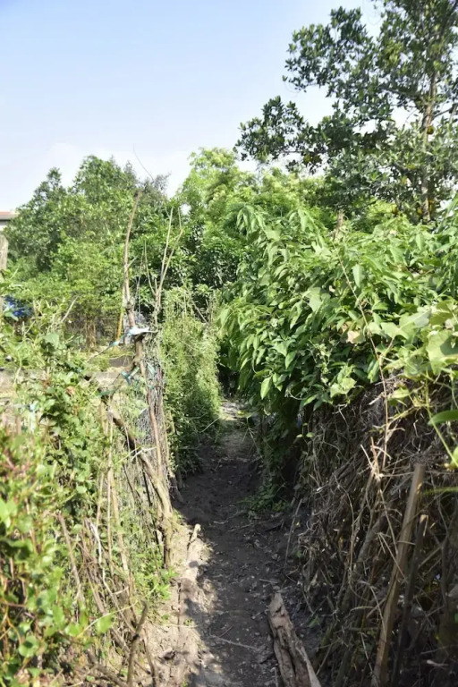 Immersive Homestay Ninh Binh