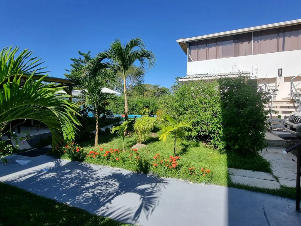 Ballena Rey Hotel