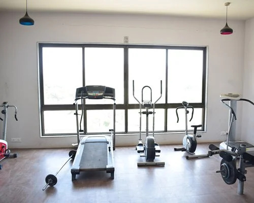 Lion's Den Gir