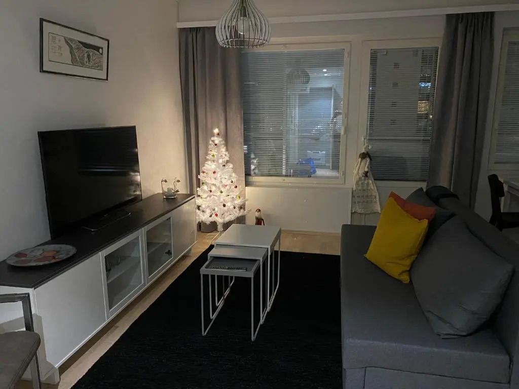Big studio B46 for 4 people in the city center
