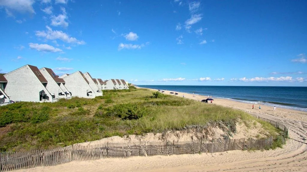 The Surf Club
