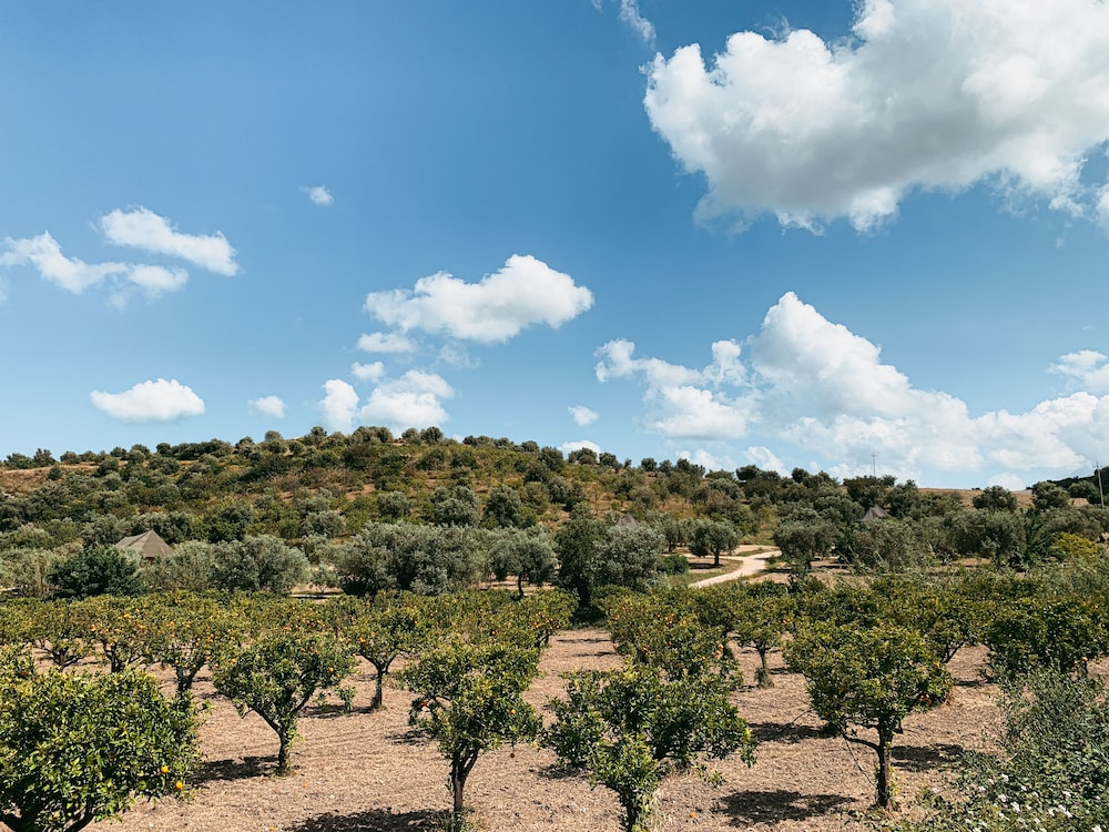 IUTA Farm