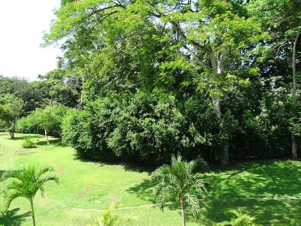 Jaco Beach Condos