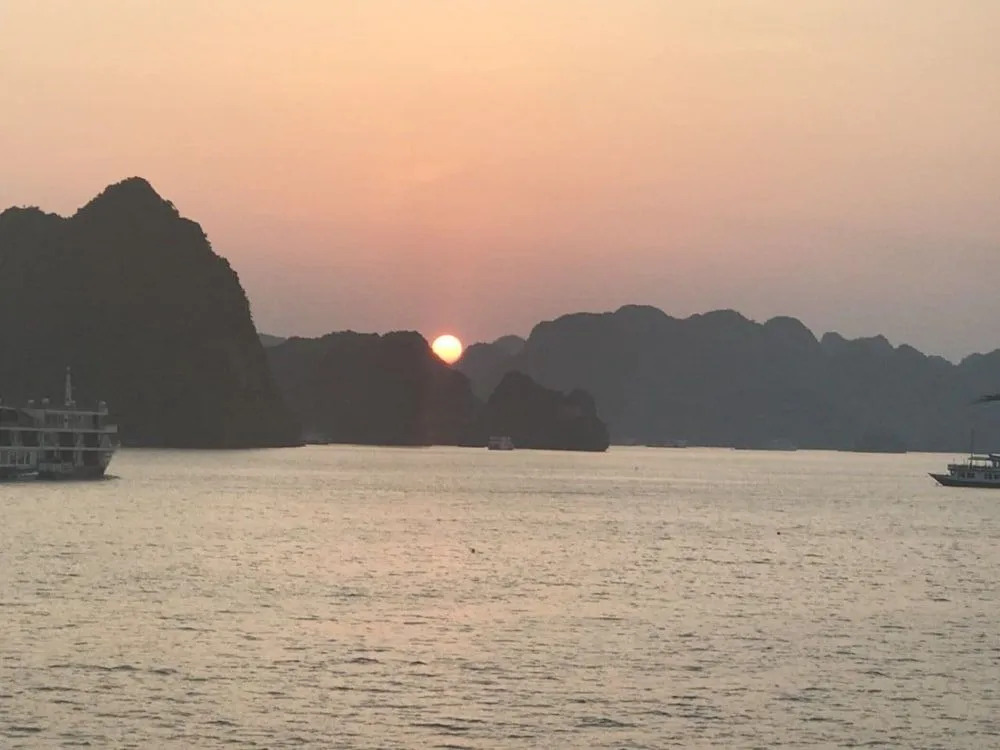 Apricot President Cruise