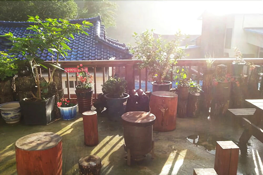 Yangyang 5 Color Anter Pension