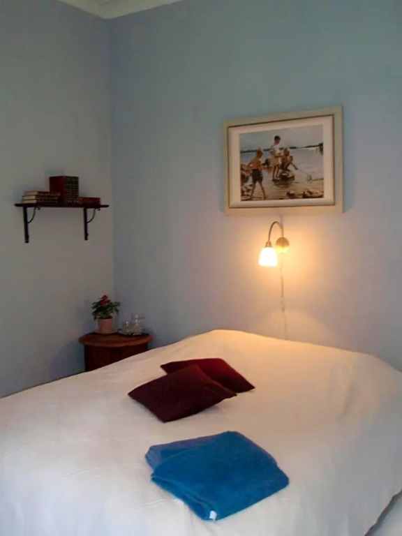 B&B Pinus