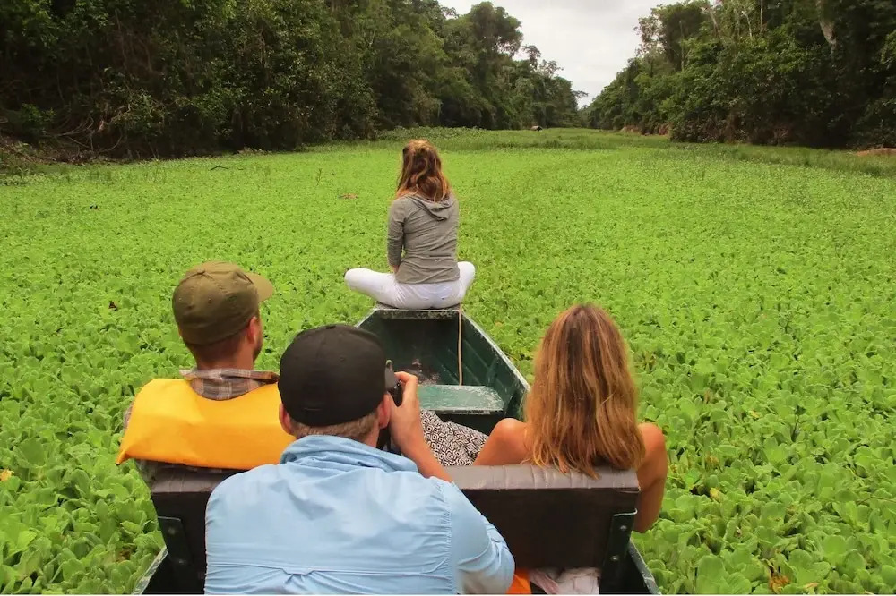 Amazon Curassow Lodge and Expeditions