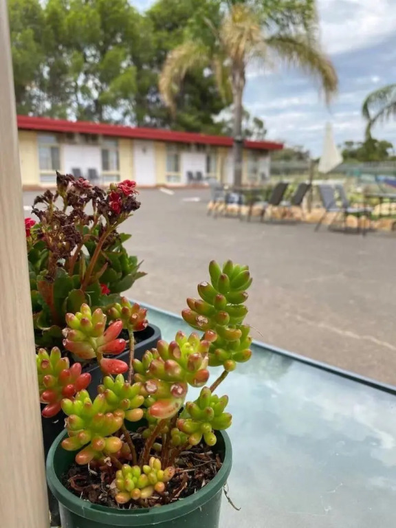 Apollo Motel Parkes