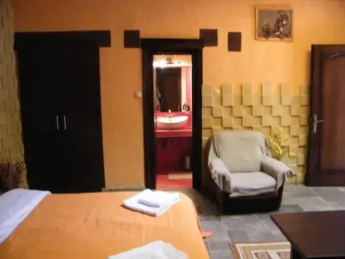 Brasovul Vechi Apartment