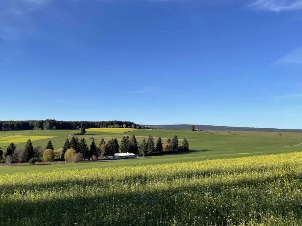 Schwarzwald 13889