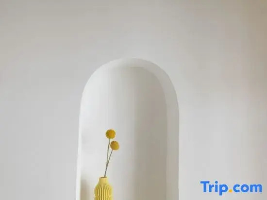 Songshe Designer Homestay