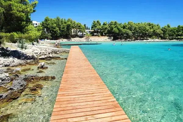 Apartments Biograd