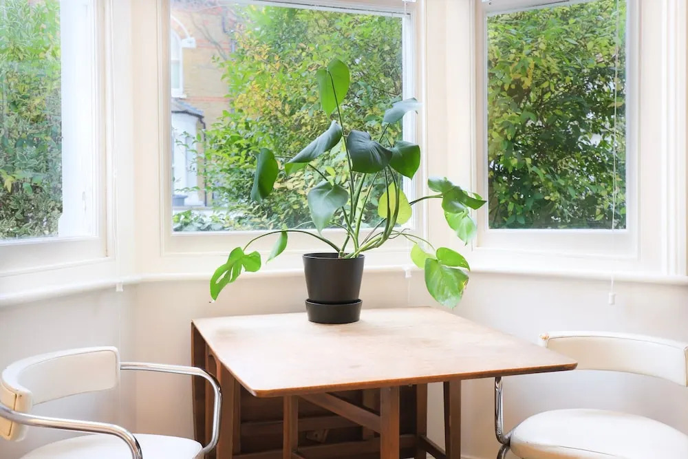 2 Bedroom Apartment With Garden