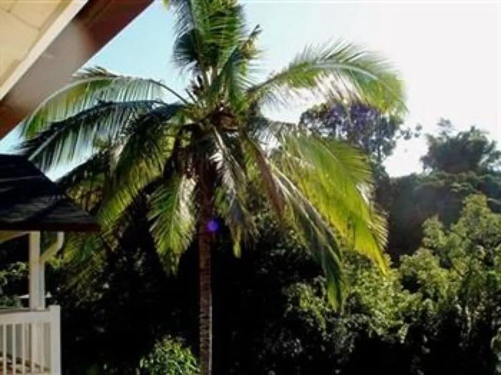 Bamboo Valley Inn