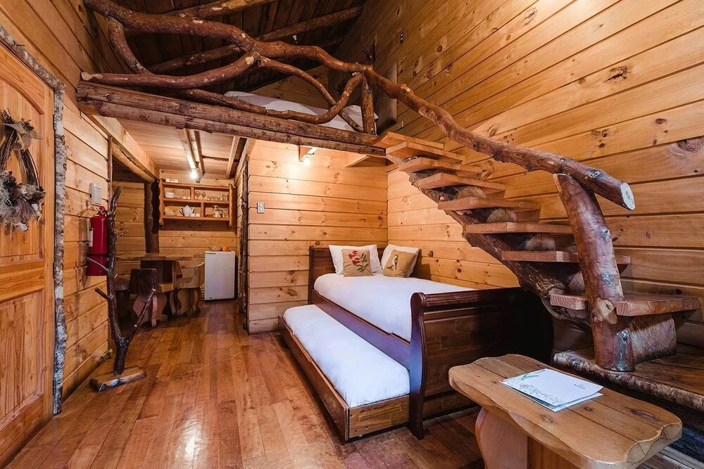 Huilo Huilo Cabañas del Bosque