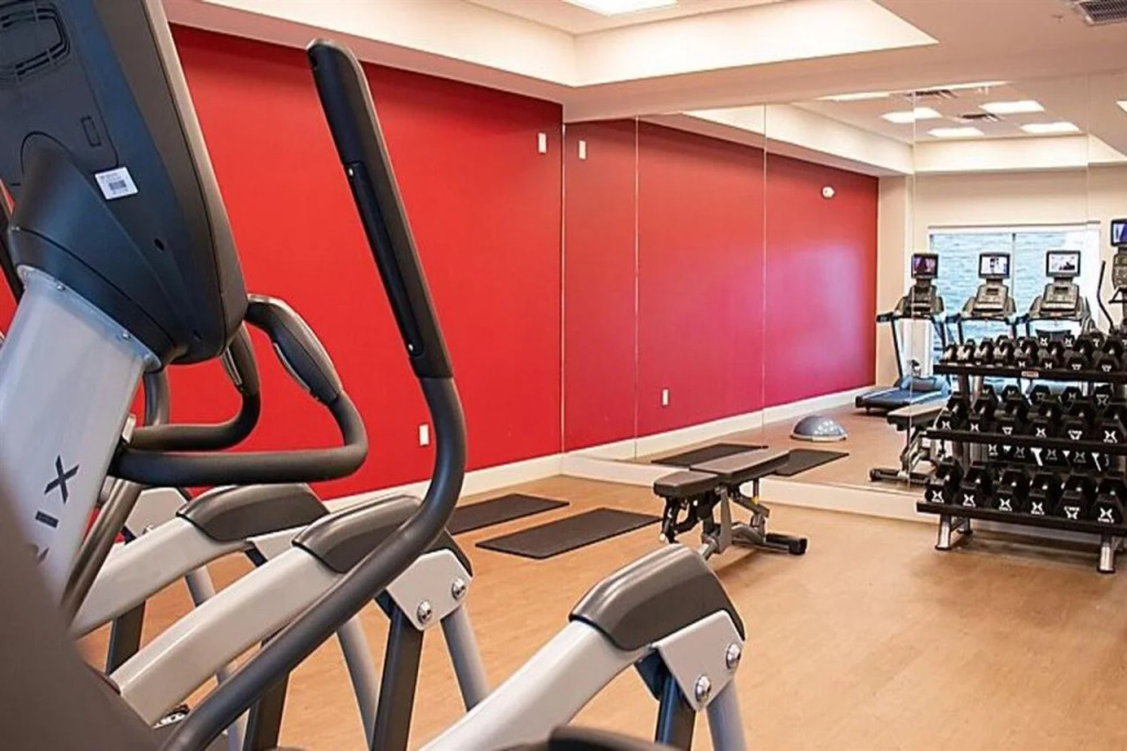 Holiday Inn Express & Suites Tuscaloosa East - Cottondale by IHG