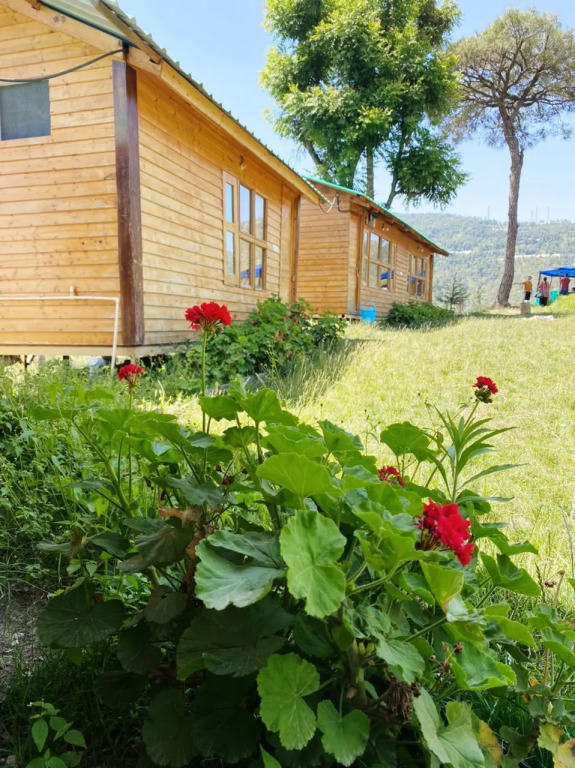 Golden Valley Cottages
