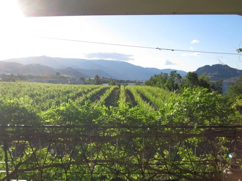 Vineyard on the Lake - 4 Bedroom Villa