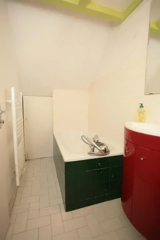 Lovely Marais Sudio with Mezzanine (94)