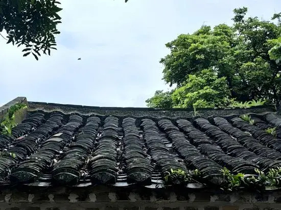 Yueshan Tinghai B&B