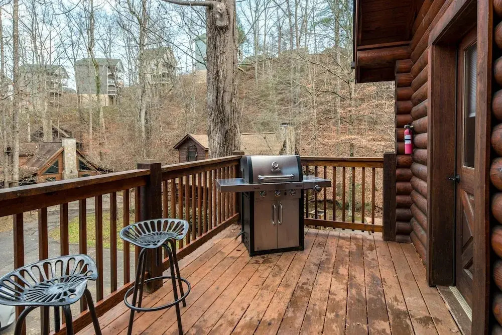 Er53r - Beary Special 2 Bedroom Cabin