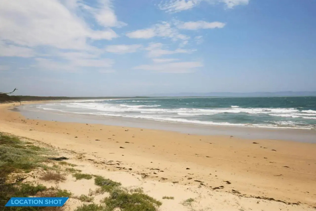 The Crescent at Currarong I Pet Friendly Beachfront