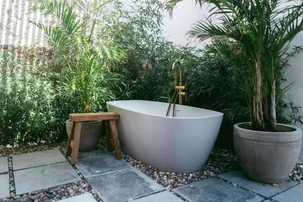 Serene Oasis Nestled Under Table Mountain