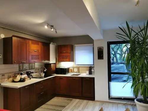 Apartament Kalinderu 2 Busteni