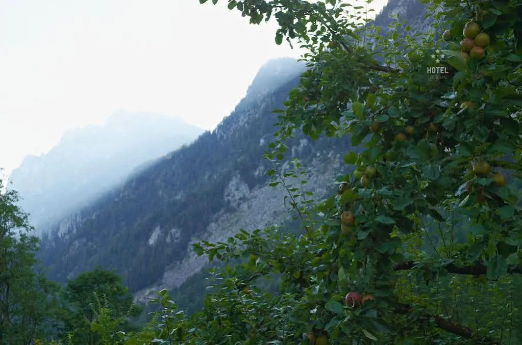 Hotel B&B "Zur Schanz"